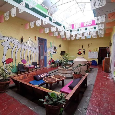 Iguana Hostel Oaxaca Екстер'єр фото