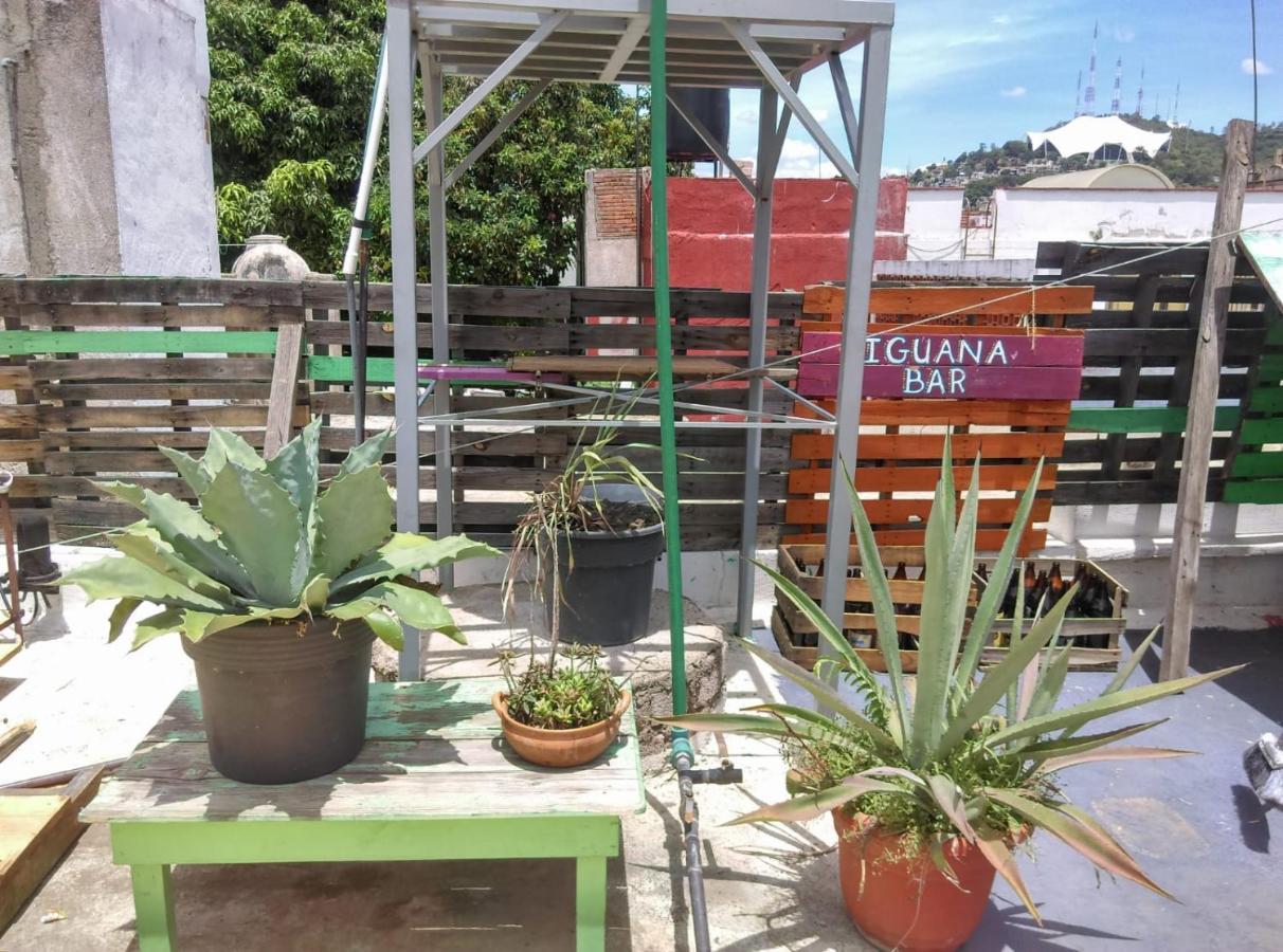 Iguana Hostel Oaxaca Екстер'єр фото