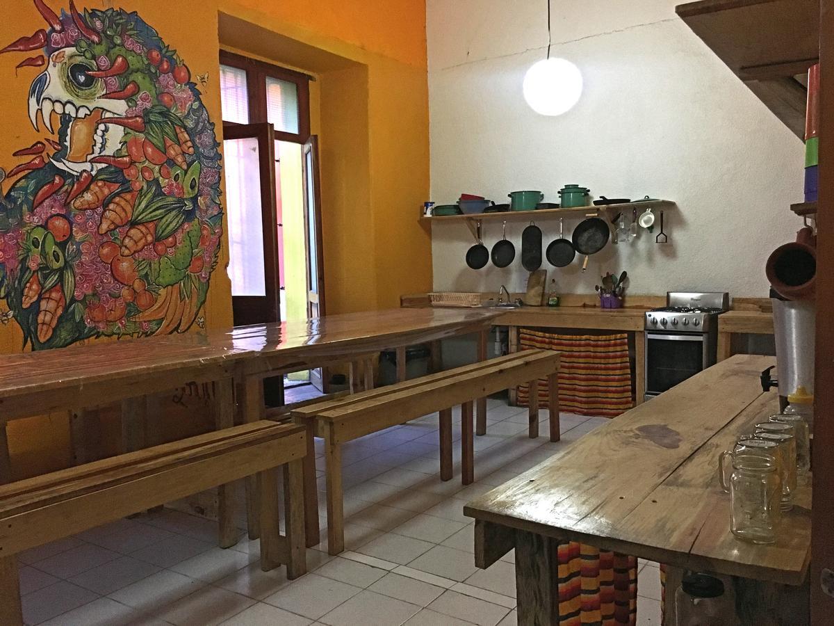 Iguana Hostel Oaxaca Екстер'єр фото