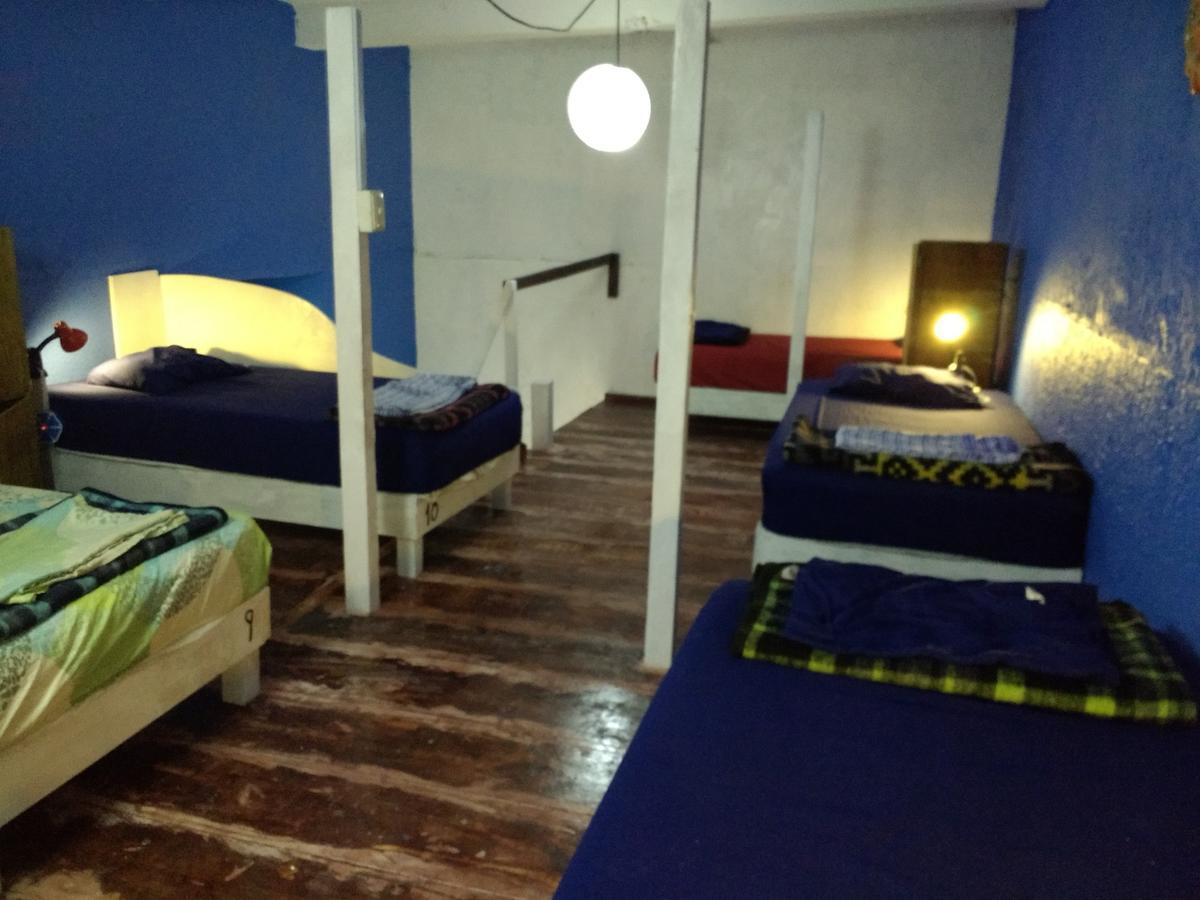 Iguana Hostel Oaxaca Екстер'єр фото